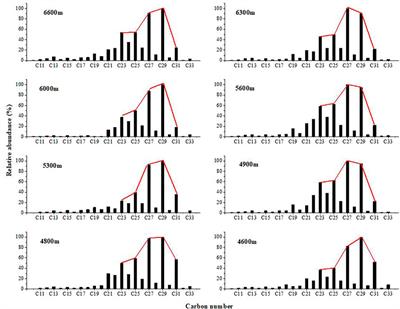 Carbon Isotope Composition and Geochemical Features of Sediments From Gongga Mountain, China, and Potential Environmental Implications